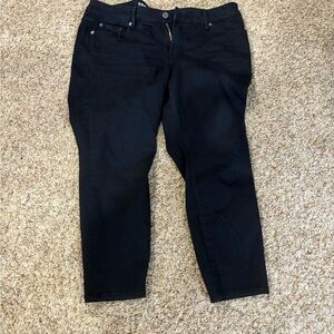 Torrid Women's Classic Black Straight Leg Jeans